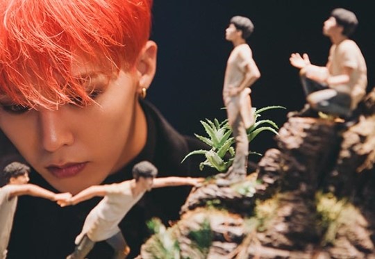 gd mostra (6)