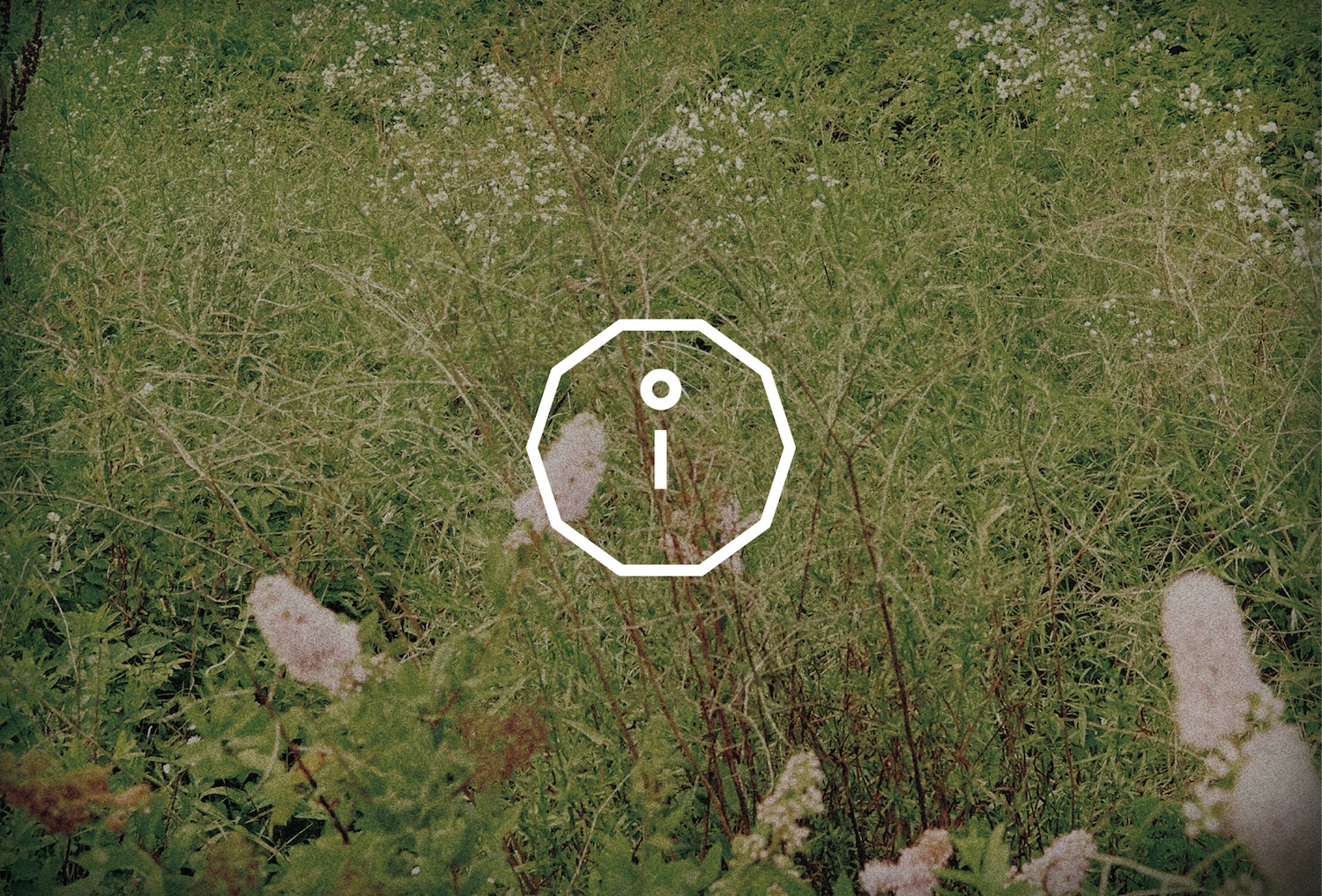 b1a42