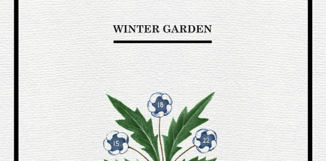 Realizzati i video storia per il progetto “Winter Garden” della SM