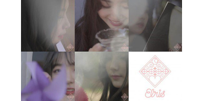 Le ELRIS si preparano al debutto