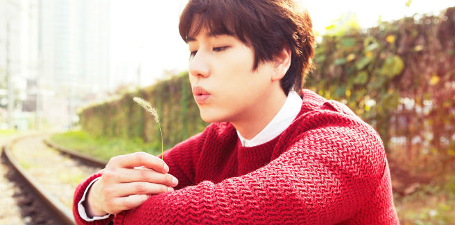 Kyuhyun dei Super Junior sta preparando il suo secondo comeback da solista