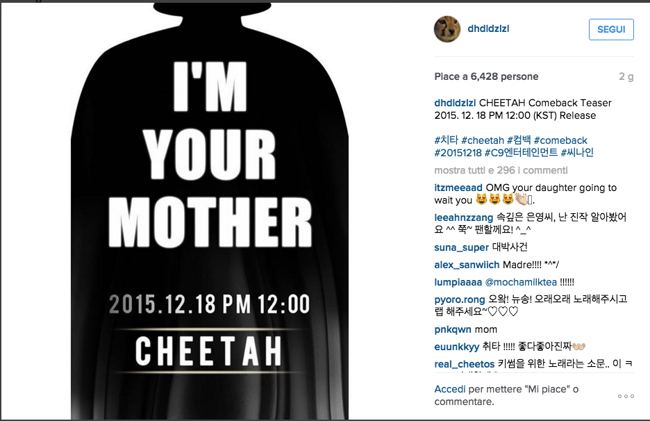 Cheetah_Instagram