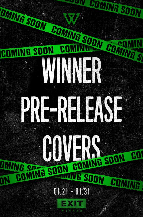 winner_prerelease